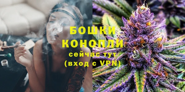 мдпв Ладушкин