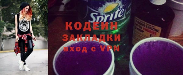 мдпв Ладушкин