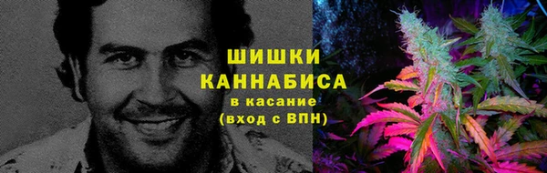 мдпв Ладушкин