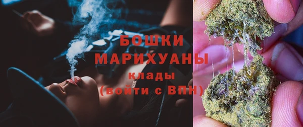 мдпв Ладушкин